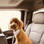 Photo of iPaw Pet Salons