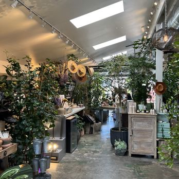 Moonphaze - Inside - Coffee & Tea Near Me - Agoura Hills, California Moonphaze - Inside - Coffee & Tea Near Me - Agoura Hills, California