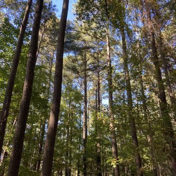 Harris Lake County Park - Parks Near Me - New Hill, North Carolina