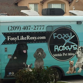 foxy roxy dog groomer