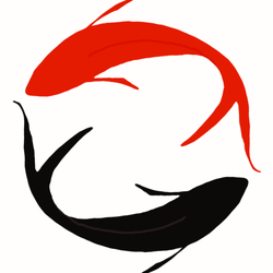 Ocean Acupuncture & Wellness Center - Ocean Acupuncture & Wellness Center, LLC