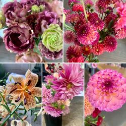 Pistil & Stamen Flower Farm and Studio - A few or many, many finds!