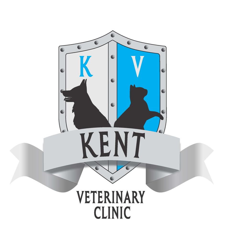 KENT VETERINARY CLINIC 27 Photos 3140 Johnson Ferry Rd, Marietta