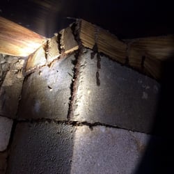 Heartland Exterminating - Termite mud tubes found under a mobile home in the Tanglewood sub division in Sebring . This homeowner had no idea what so ev...