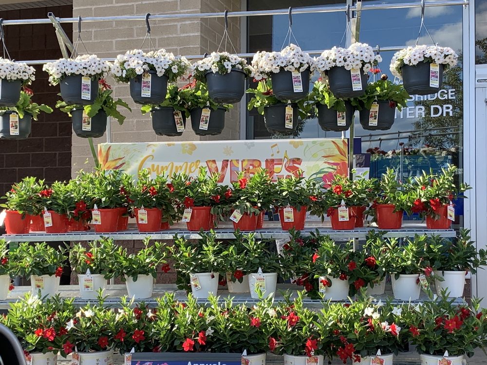 LOWE’S HOME IMPROVEMENT Updated May 2024 43 Photos & 62 Reviews 51 Woodbridge Center Drive