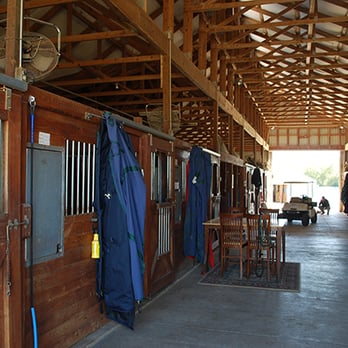 North Dallas Equestrian - Premiere Facility for lessons, breeding, boarding and events! - Venues & Event Spaces Near Me - McKinney, Texas North Dallas Equestrian - Premiere Facility for lessons, breeding, boarding and events! - Venues & Event Spaces Near Me - McKinney, Texas