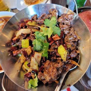 Han Dynasty - Dry pot lamb - Szechuan Near Me - Long Island City, New York Han Dynasty - Dry pot lamb - Szechuan Near Me - Long Island City, New York
