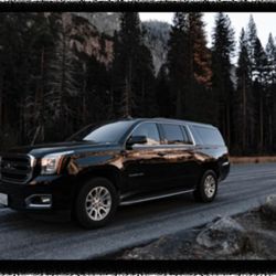 Airfleet Limousine - Photo