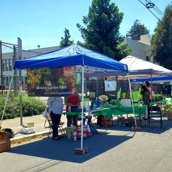 Berkeley Garden Club - Art & Plant Street Sale - Nurseries & Gardening Near Me - Berkeley, California