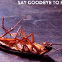 Photo of JDC Pest Control