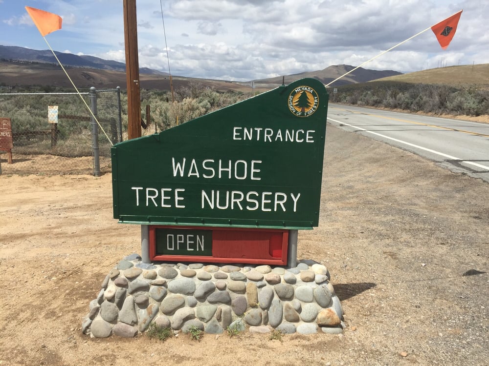 Washoe Nursery - social services organization in New Washoe City, NV