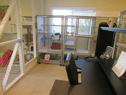 just cats kennel