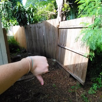 Geiger's Pest Services - Pest Control Near Me - St. Petersburg, Florida