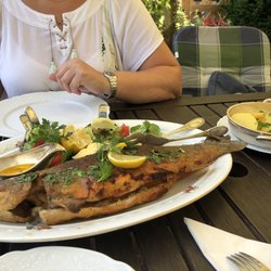 Fischerkehle - Bachsaibling für 2 Personen mit Salzkartoffeln und frischen Gurkensalat.