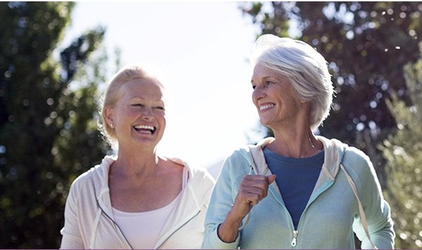 Cardivascular Consultants Pa