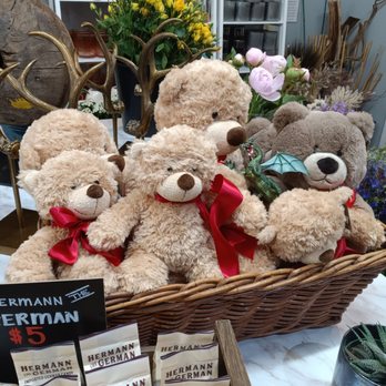 Park Florist - Florists Near Me - Takoma Park, Maryland Park Florist - Florists Near Me - Takoma Park, Maryland
