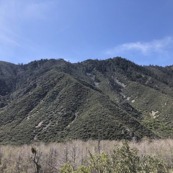 Third Stream Falls - So green! - Hiking Near Me