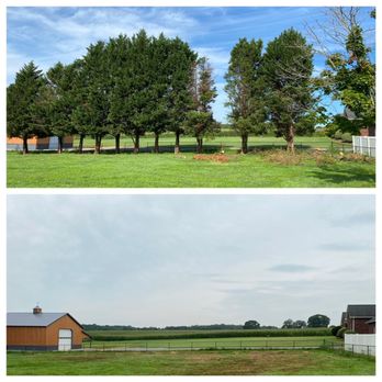 Arning Tree Service - Tree Services Near Me Arning Tree Service - Tree Services Near Me