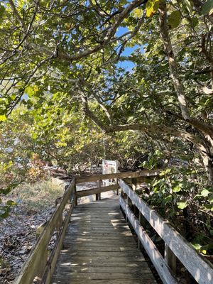 DELNOR-WIGGINS PASS STATE PARK - Updated October 2024 - 286 Photos