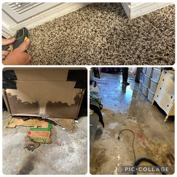 BFF Property Services - Carpet Cleaning Near Me BFF Property Services - Carpet Cleaning Near Me