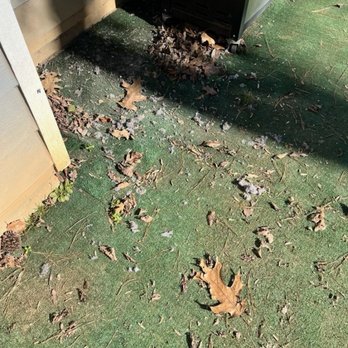 Simply Clean Ducts and Vents - Shmutz left behind in our backyard AFTER they cleaned the dryer vents -- no cleanup. - Air Duct Cleaning Near Me - Suwanee, Georgia