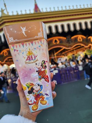 Tokyo Disney Resort by null