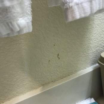 Summit Inn - Hotels Near Me - Snoqualmie Pass, Washington