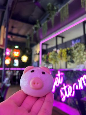 Steamy Piggy Point Loma by null