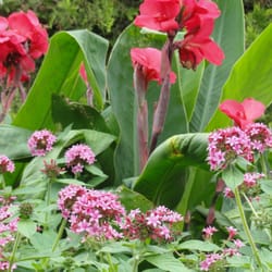 Binkley Horticulture