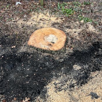 Eastside Tree - Tree Services Near Me