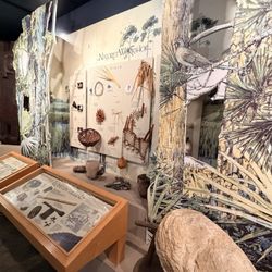 Fort Caroline National Memorial - Here is another marvelous display.