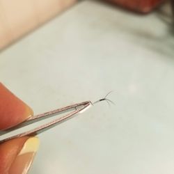 Timothy Stimac Salon & Spa - Four natural lashes glued together.  It'll be a miracle if I have any lashes left after this.