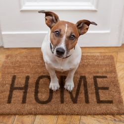 Karen Miller, Realtor