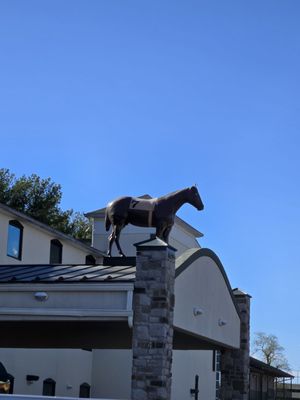 Alfredo's Mediterranean Grille and Steakhouse by null