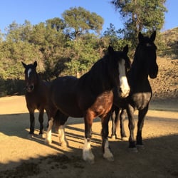 Rustic Canyon Ranch