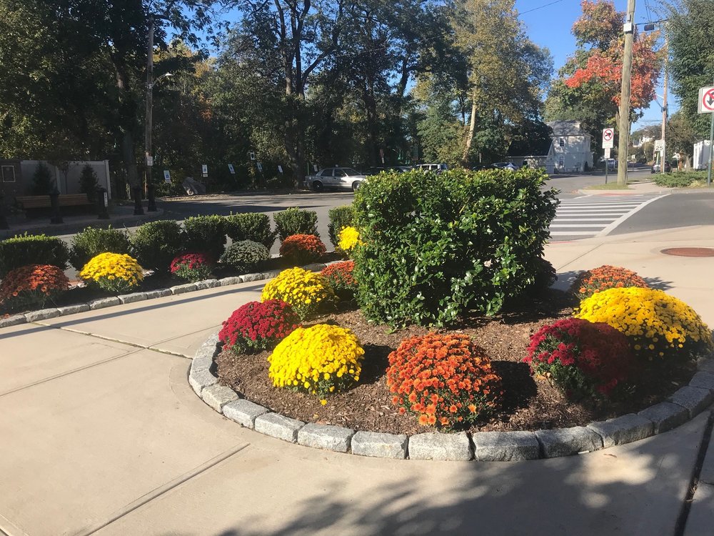 MARIO LANDSCAPING 16 Photos & 11 Reviews 193 Brook St, Scarsdale, NY Yelp