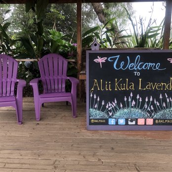 Ali'i Kula Lavender - Tours Near Me - Kula, Hawaii Ali'i Kula Lavender - Tours Near Me - Kula, Hawaii