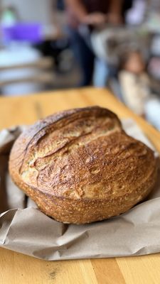 Secret Sister by null