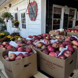 Jenkins - Lueken Orchard