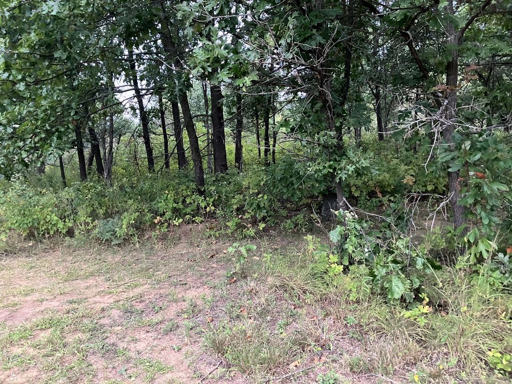 BRAIDWOOD DUNES AND SAVANNA NATURE PRESERVE Updated October 2024