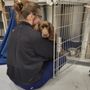 Photo of Horizon Veterinary Care