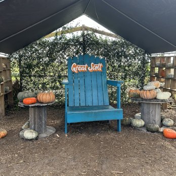 Long & Scott Farms - Farmers Market Near Me - Mount Dora, Florida Long & Scott Farms - Farmers Market Near Me - Mount Dora, Florida