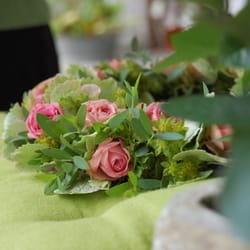 blütenreich Blumen in Havelhöhe