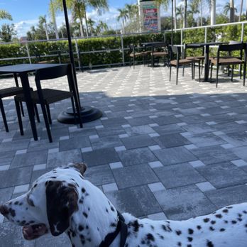 Starbucks - Lovely Outside Patio! - Coffee & Tea Near Me - Punta Gorda, Florida