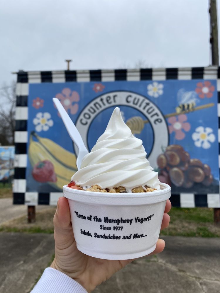 COUNTER CULTURE FROZEN YOGURT CLOSED Updated August 2024 21