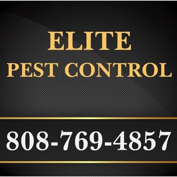 Elite Pest Control - Pest Control Near Me Elite Pest Control - Pest Control Near Me