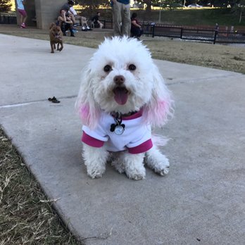 Johnny Steele Dog Park - Dog Parks Near Me - Houston, Texas Johnny Steele Dog Park - Dog Parks Near Me - Houston, Texas