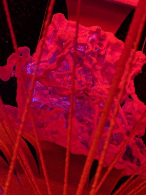 Electric Ladyland - Museum of Fluorescent Art by null