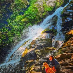 High Shoals Falls Loop Trail - High shoals