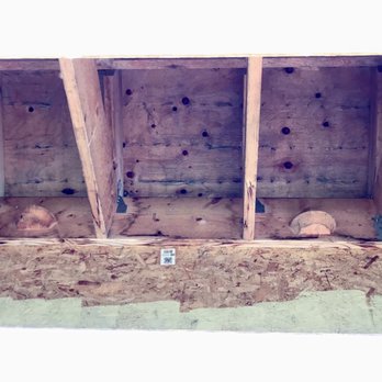 Douglas Kennedy Headland - Nesting habits for Barn Swallows - Playgrounds Near Me - Mississauga, Ontario Douglas Kennedy Headland - Nesting habits for Barn Swallows - Playgrounds Near Me - Mississauga, Ontario